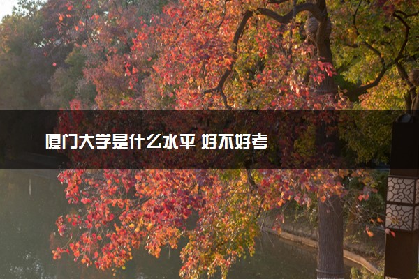 厦门大学是什么水平 好不好考