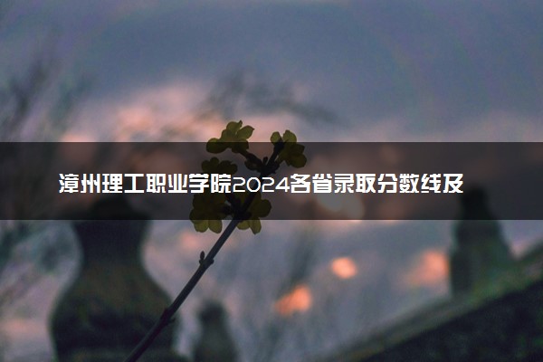 漳州理工职业学院2024各省录取分数线及最低位次是多少