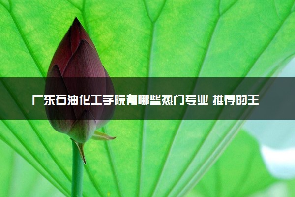 广东石油化工学院有哪些热门专业 推荐的王牌专业