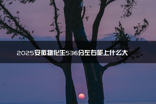 2025安徽物化生536分左右能上什么大学 可以报考的院校名单