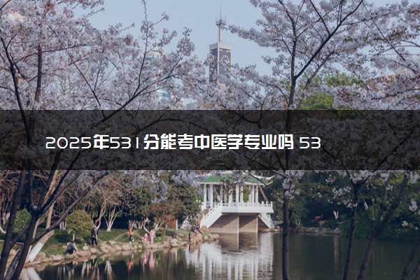 2025年531分能考中医学专业吗 531分中医学专业大学推荐