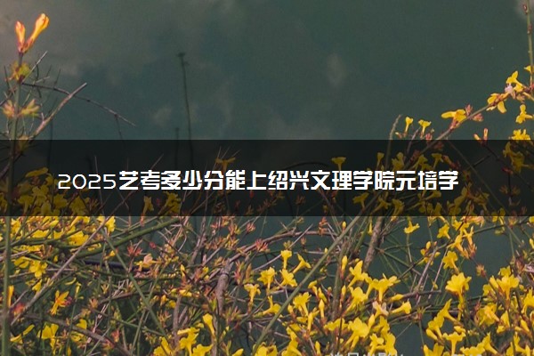 2025艺考多少分能上绍兴文理学院元培学院 最低分数线是多少