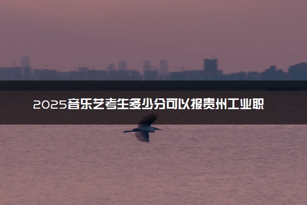 2025音乐艺考生多少分可以报贵州工业职业技术学院