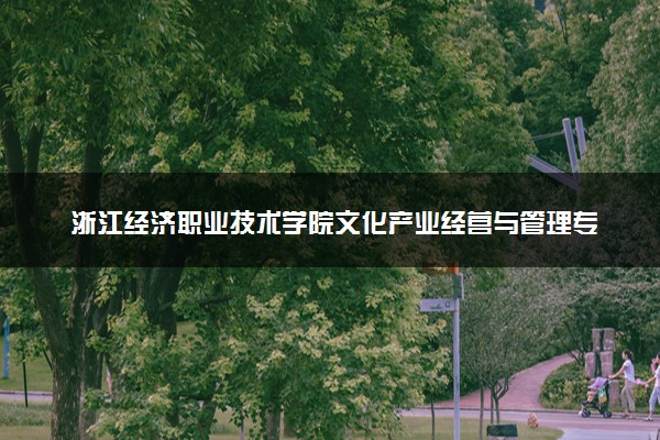 浙江经济职业技术学院文化产业经营与管理专业怎么样 录取分数线多少