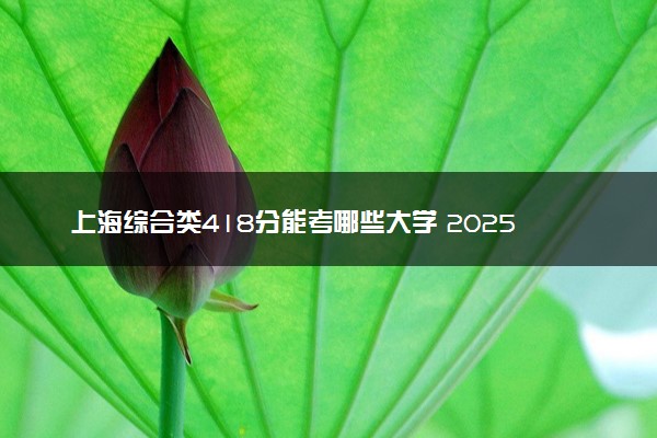 上海综合类418分能考哪些大学 2025考生稳上的大学名单