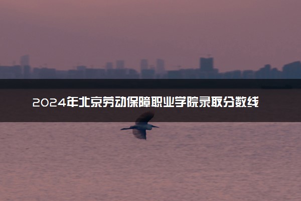 2024年北京劳动保障职业学院录取分数线是多少 各省最低分数线及位次