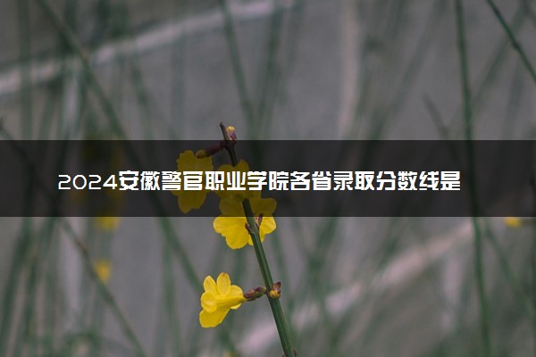 2024安徽警官职业学院各省录取分数线是多少 最低分及位次