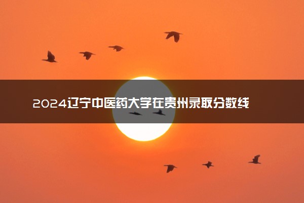 2024辽宁中医药大学在贵州录取分数线 各专业分数及位次