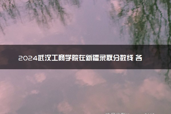 2024武汉工商学院在新疆录取分数线 各专业分数及位次