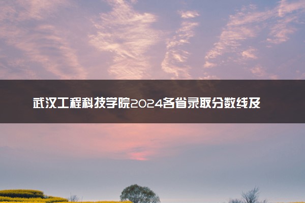 武汉工程科技学院2024各省录取分数线及最低位次是多少