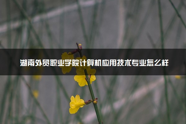 湖南外贸职业学院计算机应用技术专业怎么样 录取分数线多少