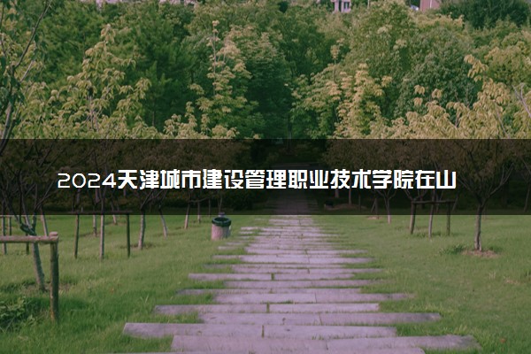 2024天津城市建设管理职业技术学院在山东录取分数线 各专业分数及位次