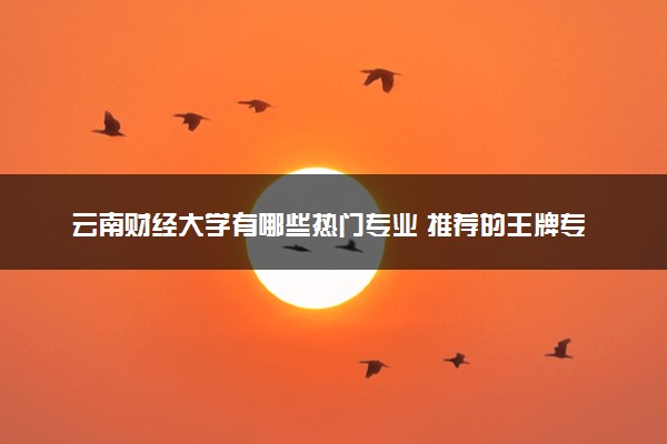 云南财经大学有哪些热门专业 推荐的王牌专业