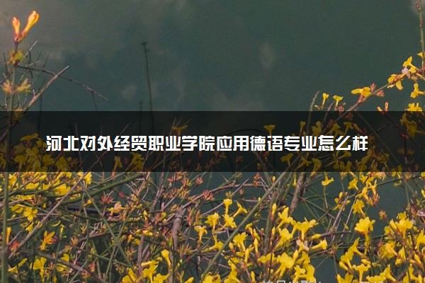 河北对外经贸职业学院应用德语专业怎么样 录取分数线多少