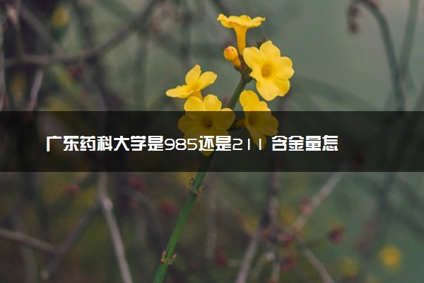 广东药科大学是985还是211 含金量怎么样