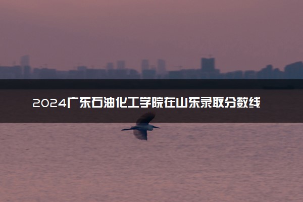 2024广东石油化工学院在山东录取分数线 各专业分数及位次