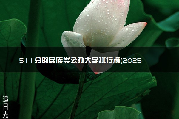 511分的民族类公办大学排行榜（2025考生参考)