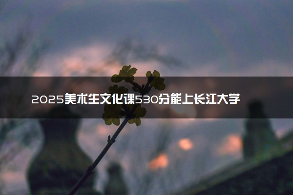 2025美术生文化课530分能上长江大学吗
