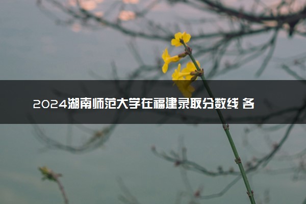 2024湖南师范大学在福建录取分数线 各专业分数及位次