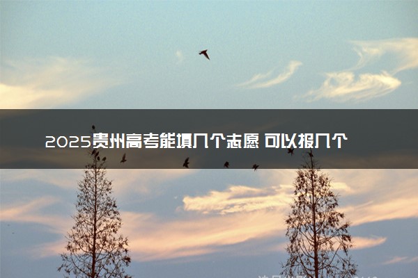 2025贵州高考能填几个志愿 可以报几个学校和专业