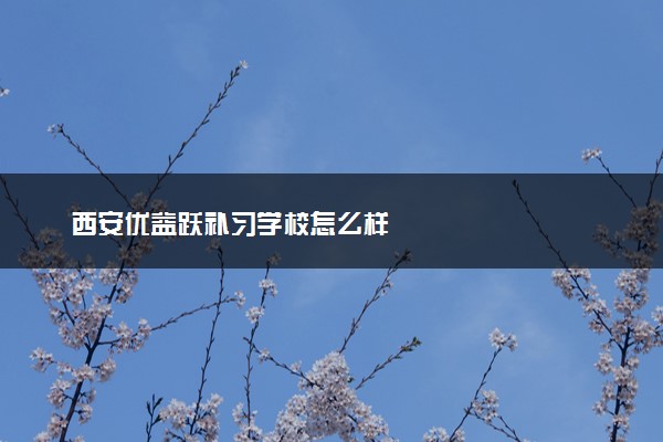 西安优益跃补习学校怎么样