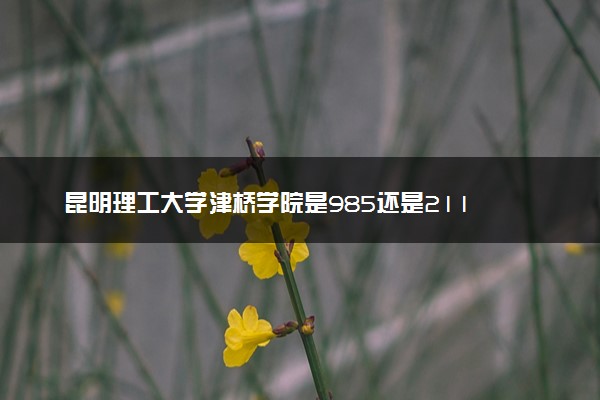 昆明理工大学津桥学院是985还是211 含金量怎么样