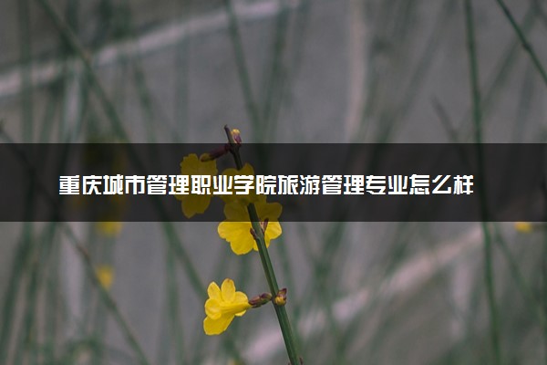 重庆城市管理职业学院旅游管理专业怎么样 录取分数线多少