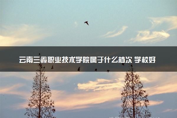 云南三鑫职业技术学院属于什么档次 学校好不好