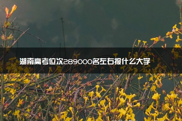 湖南高考位次289000名左右报什么大学好（2025年参考）
