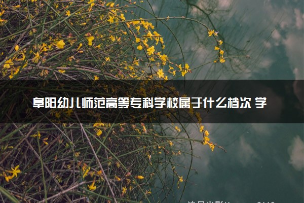 阜阳幼儿师范高等专科学校属于什么档次 学校好不好