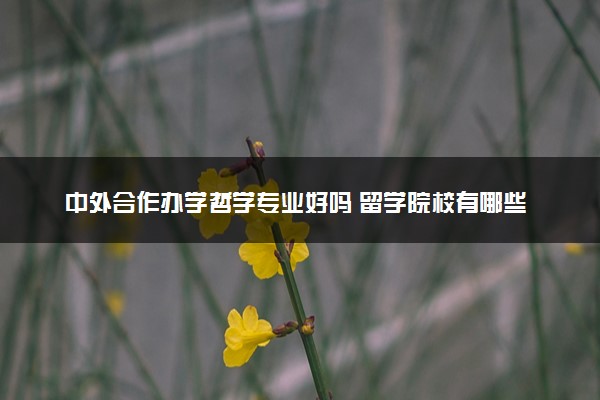 中外合作办学哲学专业好吗 留学院校有哪些