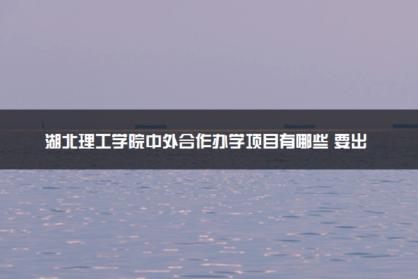 湖北理工学院中外合作办学项目有哪些 要出国吗