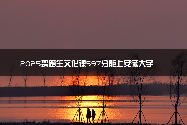 2025舞蹈生文化课597分能上安徽大学吗