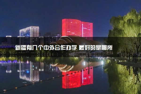 新疆有几个中外合作办学 最好的是哪所