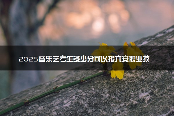 2025音乐艺考生多少分可以报六安职业技术学院
