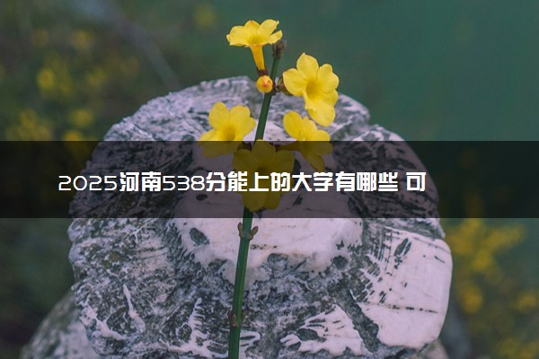 2025河南538分能上的大学有哪些 可以报考院校名单