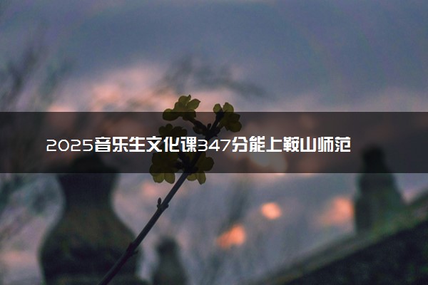 2025音乐生文化课347分能上鞍山师范学院吗