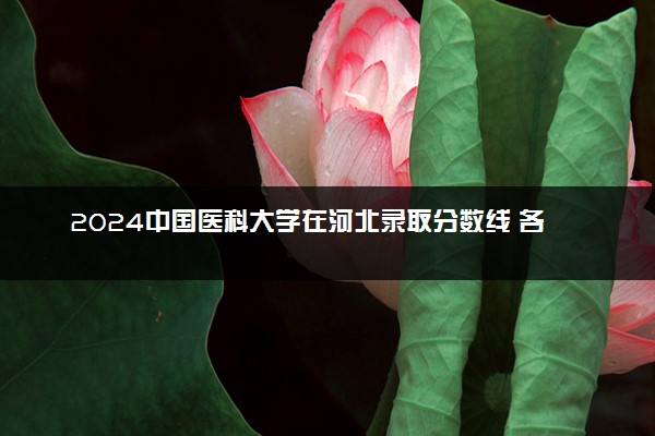 2024中国医科大学在河北录取分数线 各专业分数及位次