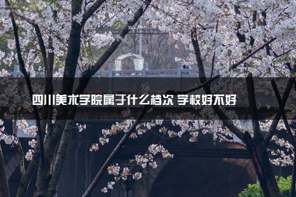 四川美术学院属于什么档次 学校好不好