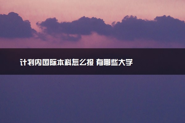 计划内国际本科怎么报 有哪些大学