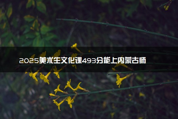 2025美术生文化课493分能上内蒙古师范大学吗