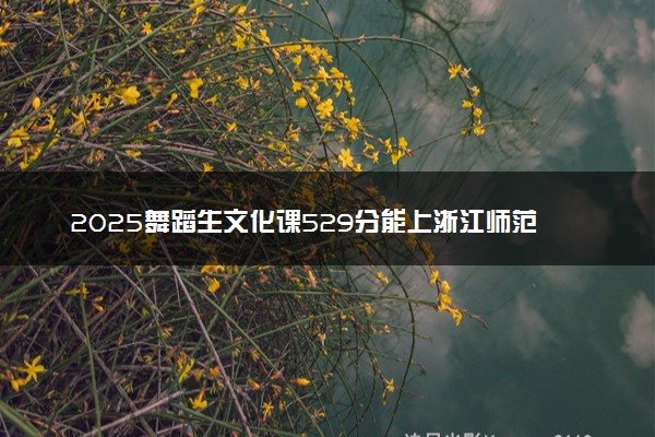 2025舞蹈生文化课529分能上浙江师范大学吗