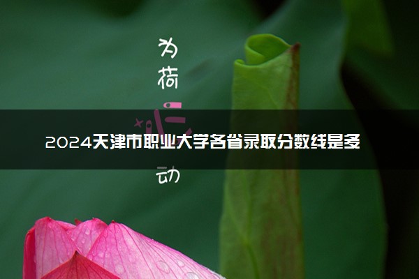2024天津市职业大学各省录取分数线是多少 最低分及位次