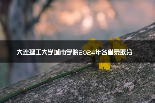 大连理工大学城市学院2024年各省录取分数线 多少分能考上