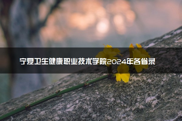 宁夏卫生健康职业技术学院2024年各省录取分数线 多少分能考上