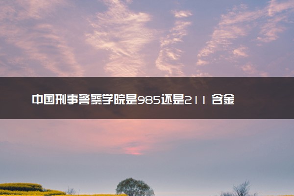 中国刑事警察学院是985还是211 含金量怎么样