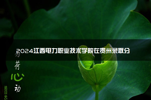 2024江西电力职业技术学院在贵州录取分数线 各专业分数及位次