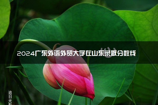 2024广东外语外贸大学在山东录取分数线 各专业分数及位次