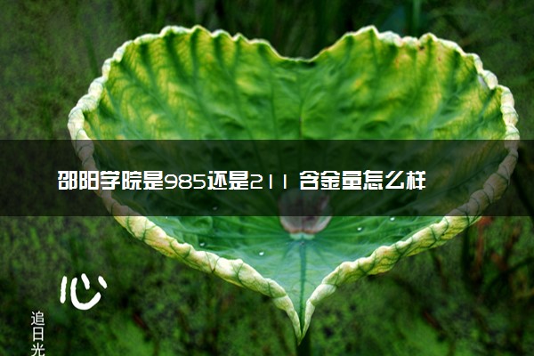 邵阳学院是985还是211 含金量怎么样