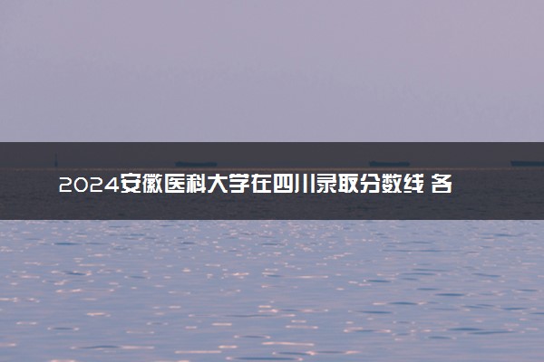 2024安徽医科大学在四川录取分数线 各专业分数及位次